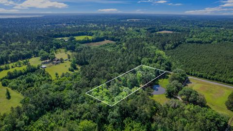 Tiny photo for 14008 Godbold Road, Tallahassee, FL 32309 (MLS # 385361)