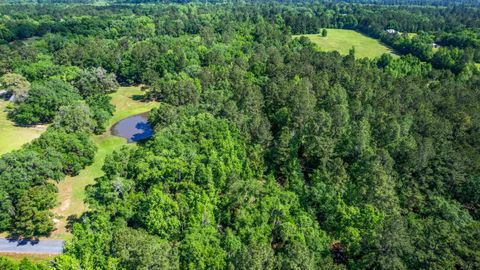 Tiny photo for 14008 Godbold Road, Tallahassee, FL 32309 (MLS # 385361)