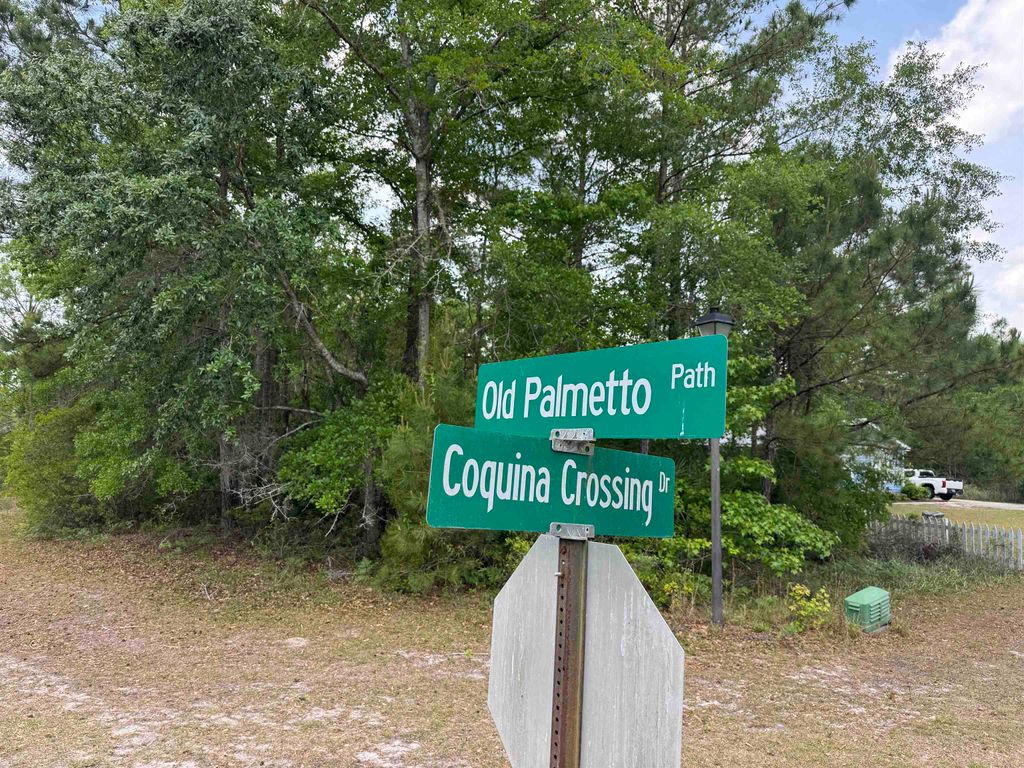 Photo of xx OLD PALMETTO Path, St Marks, FL 32355 (MLS # 399671)