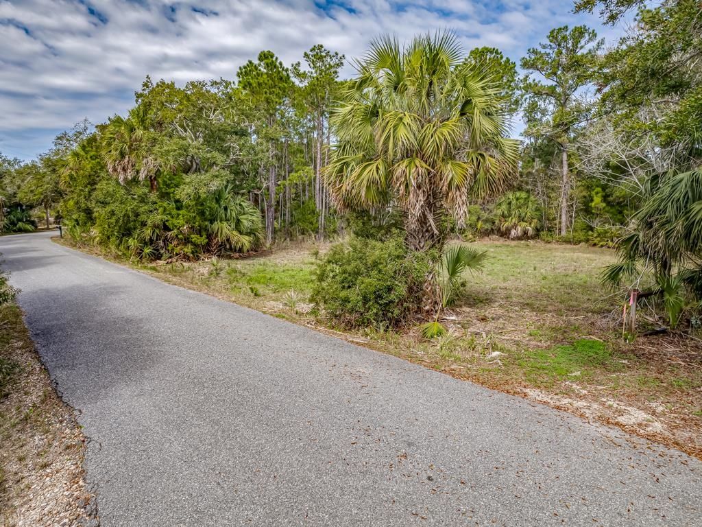 Photo of 0 Blue Dolphin Drive #2, Crawfordville, FL 32327 (MLS # 394901)