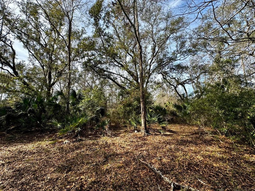 Photo of Vacant 1 62 Road, Lamont, FL 32336 (MLS # 368099)