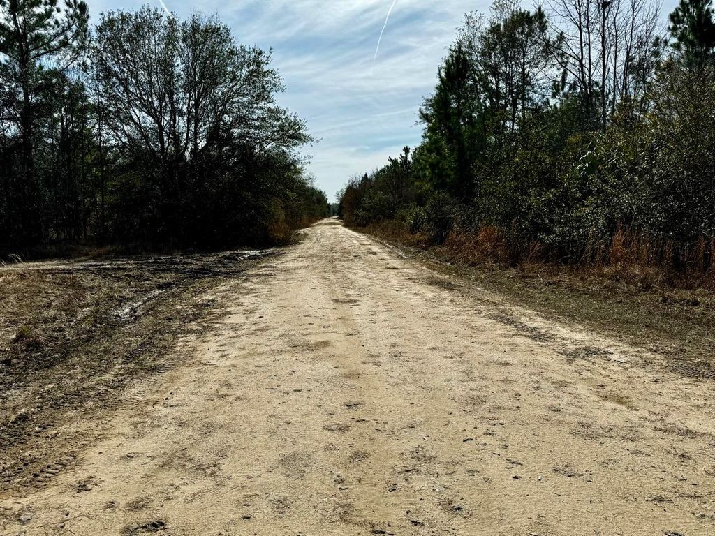 Photo of Vacant 1 62 Road, Lamont, FL 32336 (MLS # 368099)