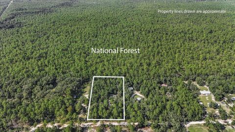 Tiny photo for 1040 Hassell Drive, Tallahassee, FL 32305 (MLS # 390508)