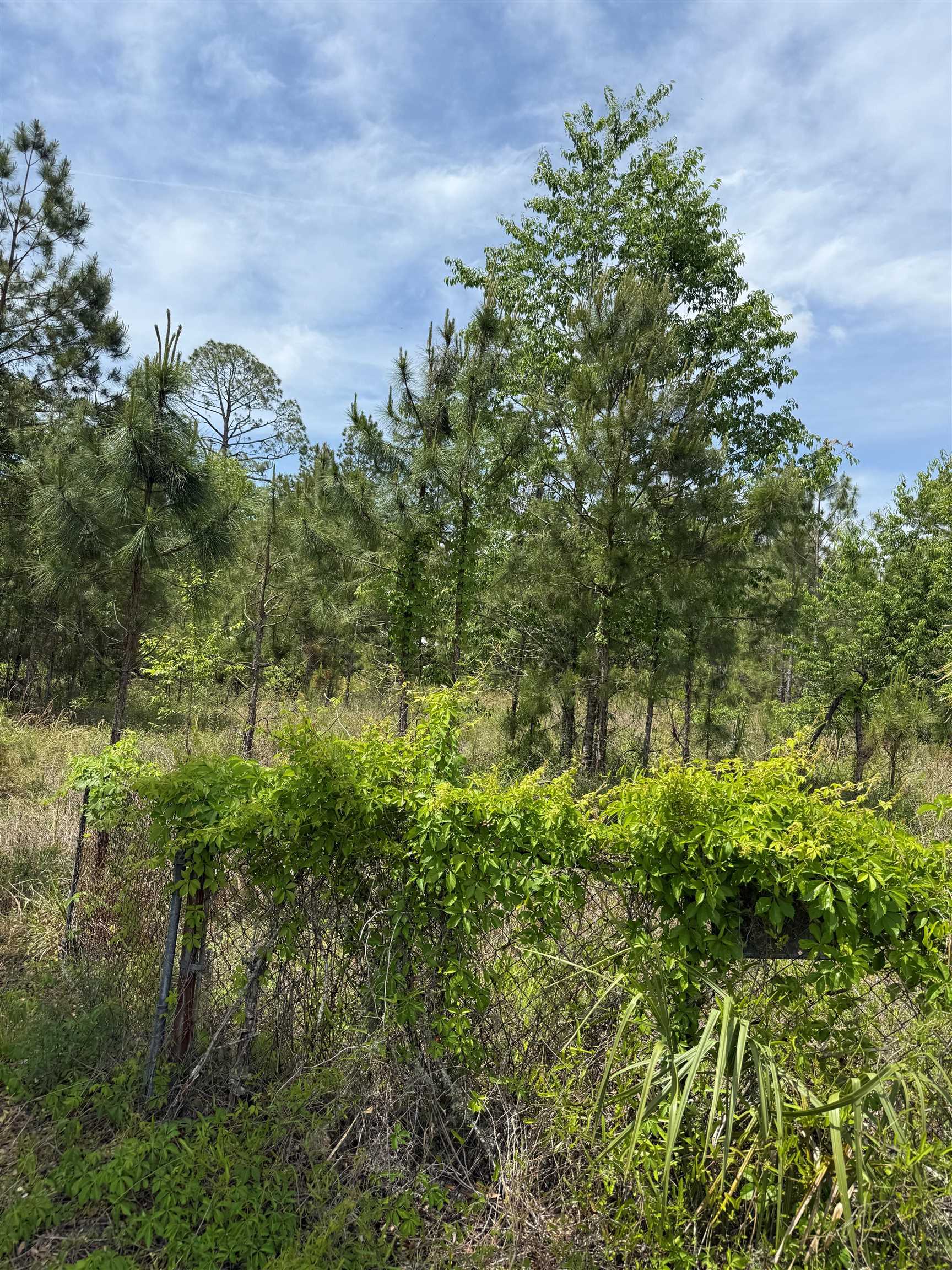 3345 E US 27 Highway