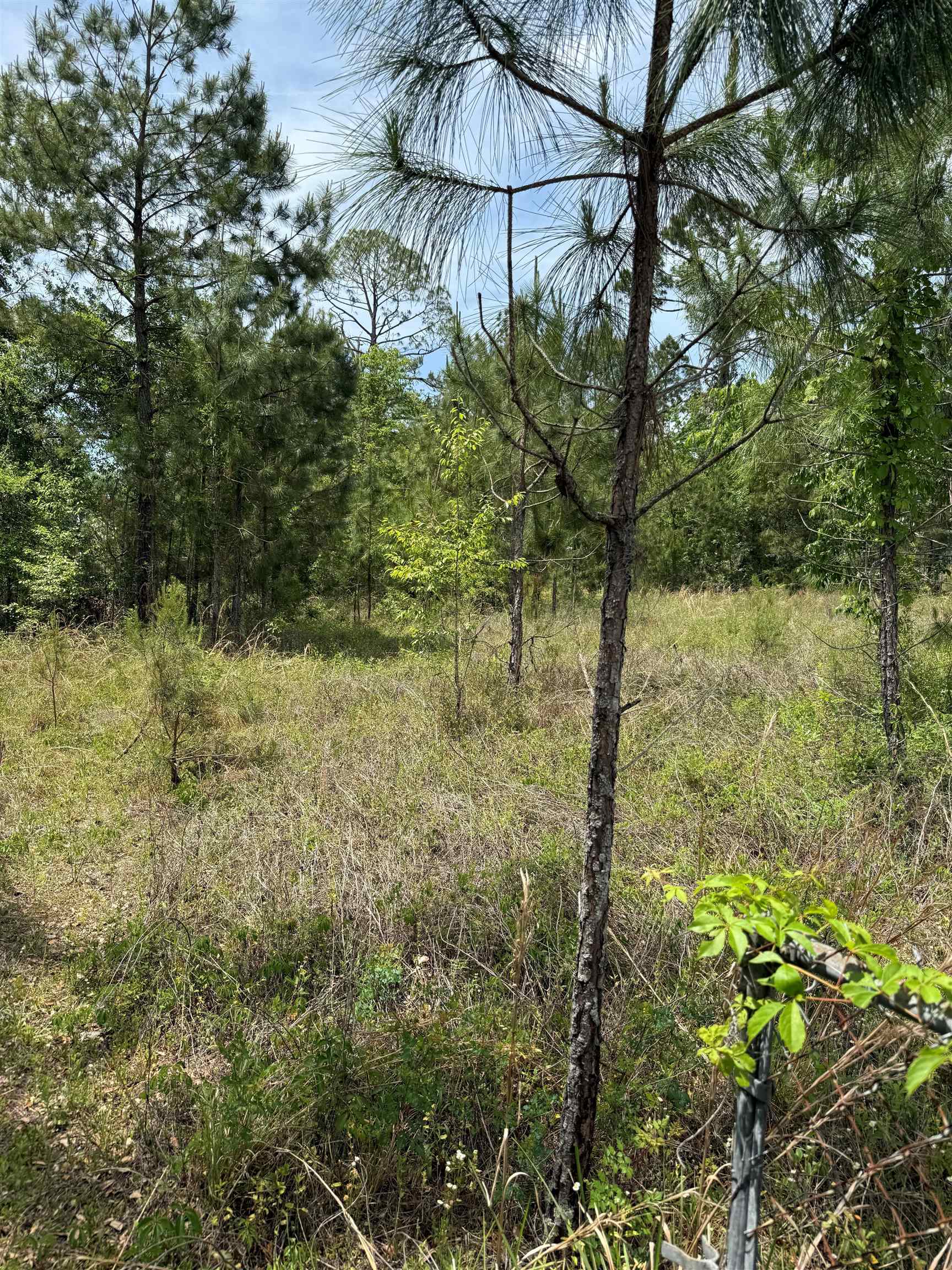 3345 E US 27 Highway
