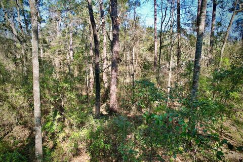 Tiny photo for 0 Amber Valley Drive, Tallahassee, FL 32312 (MLS # 383533)