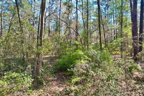 Tiny photo for 0 Amber Valley Drive, Tallahassee, FL 32312 (MLS # 383533)