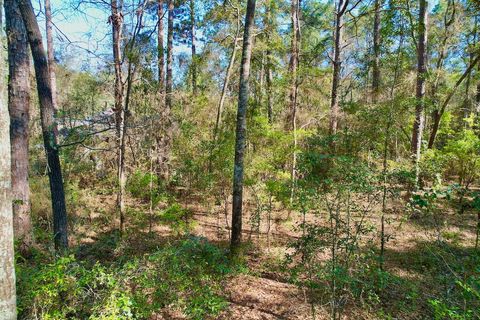 Tiny photo for 0 Amber Valley Drive, Tallahassee, FL 32312 (MLS # 383533)