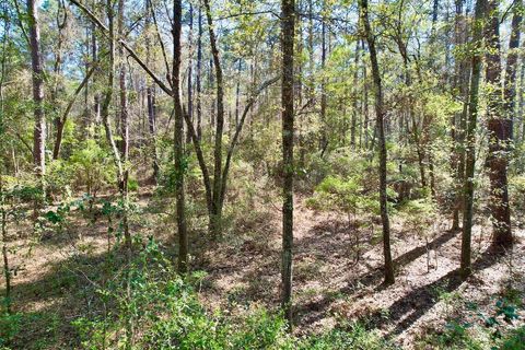 Tiny photo for 0 Amber Valley Drive, Tallahassee, FL 32312 (MLS # 383533)