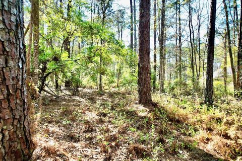Tiny photo for 0 Amber Valley Drive, Tallahassee, FL 32312 (MLS # 383533)