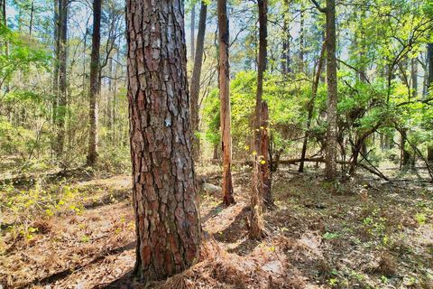 Tiny photo for 0 Amber Valley Drive, Tallahassee, FL 32312 (MLS # 383533)