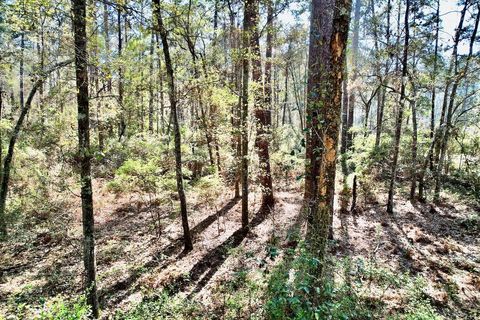 Tiny photo for 0 Amber Valley Drive, Tallahassee, FL 32312 (MLS # 383533)