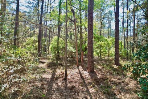 Tiny photo for 0 Amber Valley Drive, Tallahassee, FL 32312 (MLS # 383533)