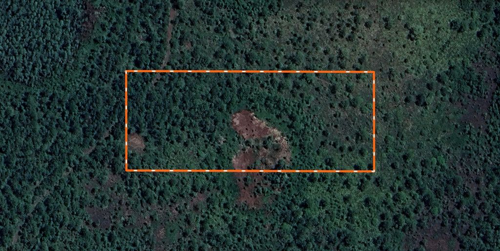 Photo of Landlocked 4 Acres Polk City, Other Florida, FL 33868 (MLS # 391463)