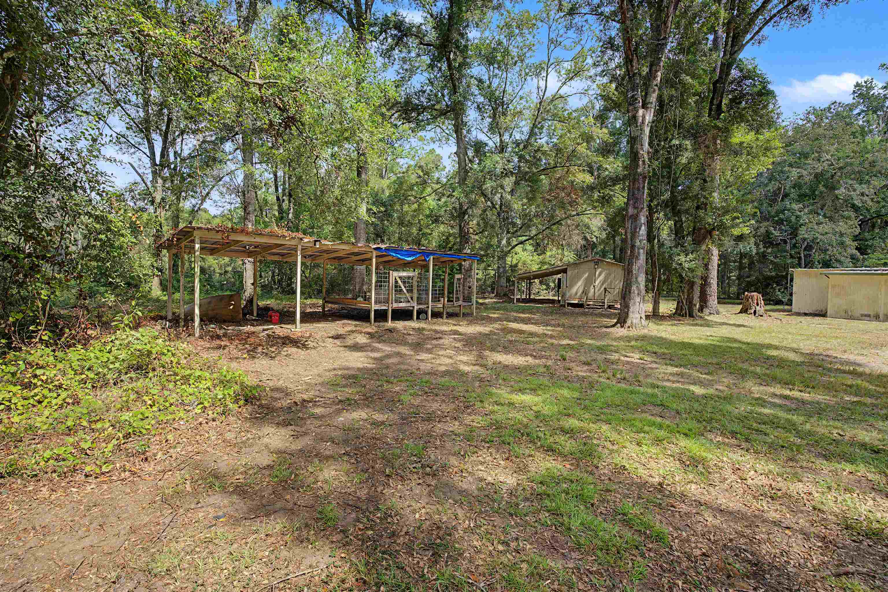 1264 Quail Lane