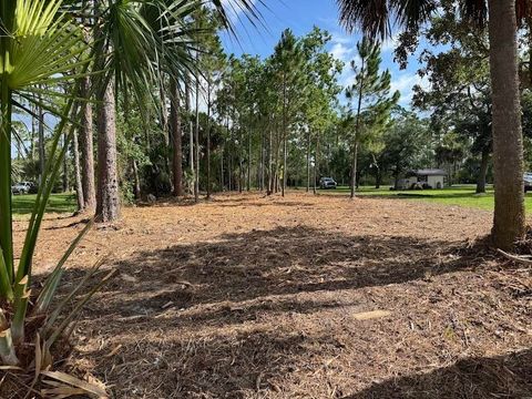 Tiny photo for xxxx Surf Road, Panacea, FL 32346 (MLS # 401694)