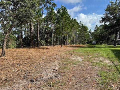 Tiny photo for xxxx Surf Road, Panacea, FL 32346 (MLS # 401694)