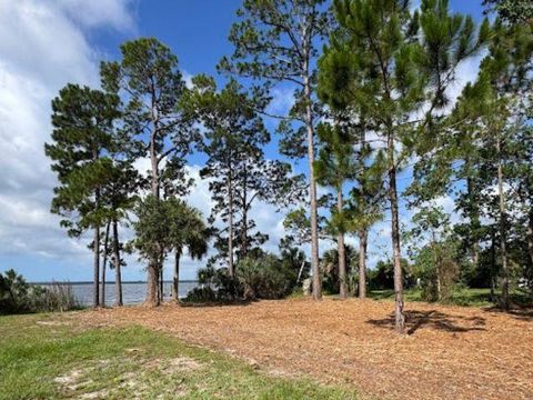 Tiny photo for xxxx Surf Road, Panacea, FL 32346 (MLS # 401694)