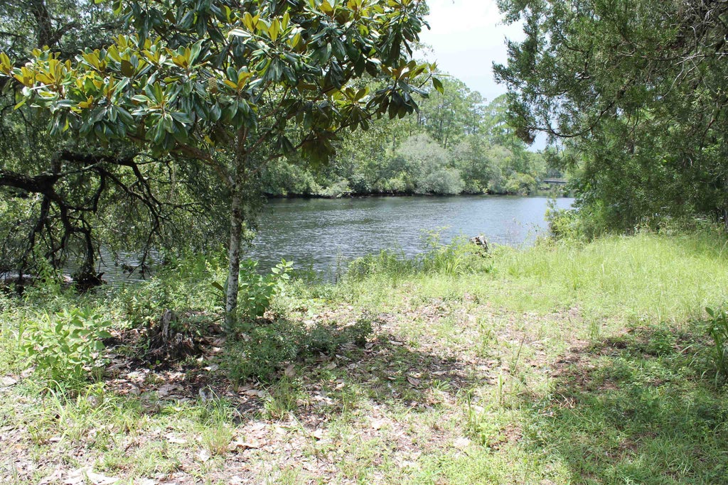 Photo of 90 Mathis Road, Sopchoppy, FL 32358 (MLS # 402866)