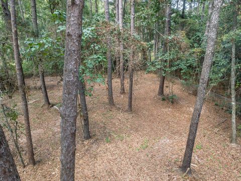 Tiny photo for 4448 Argyle Lane, Tallahassee, FL 32309 (MLS # 391216)