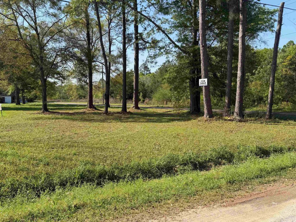 Photo of 000 Beech Avenue, Gretna, FL 32332 (MLS # 397931)