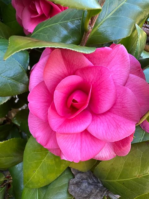 Tiny photo for 3806 Leane Drive, Tallahassee, FL 32309 (MLS # 395018)