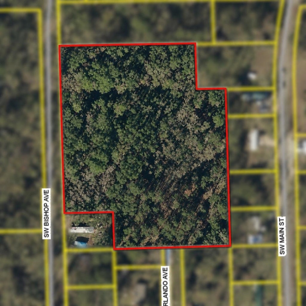 Photo of SW BISHOP Avenue, Greenville, FL 32331 (MLS # 401336)
