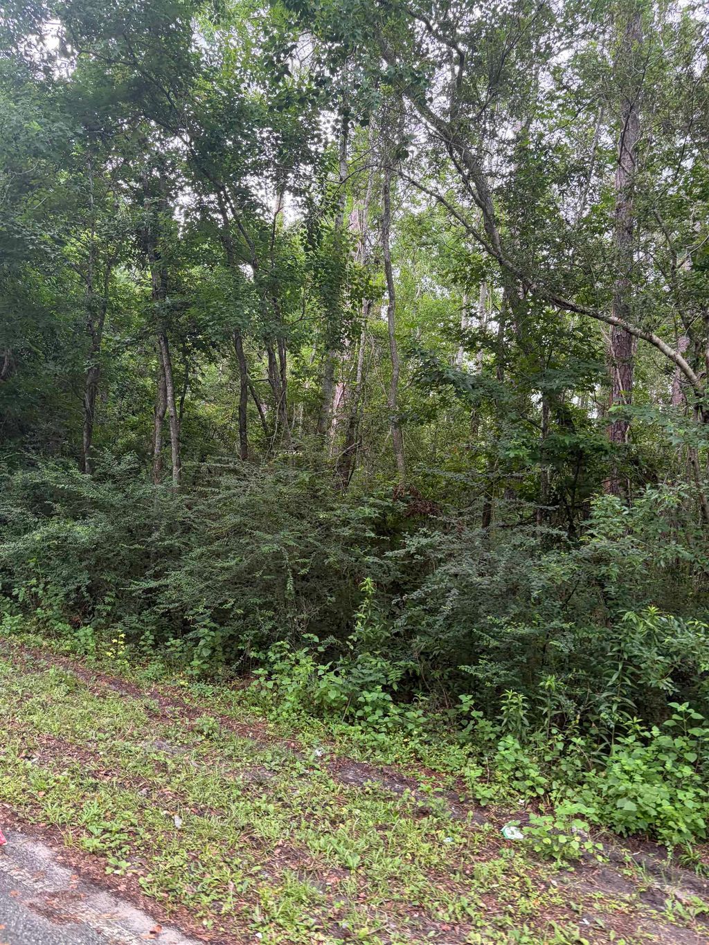Photo of SW BISHOP Avenue, Greenville, FL 32331 (MLS # 401336)