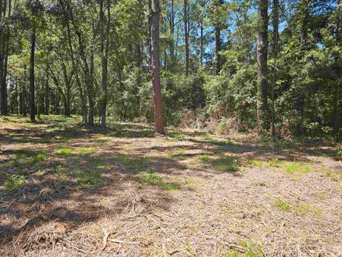 Tiny photo for 0 Carmel Drive, Tallahassee, FL 32309 (MLS # 389373)