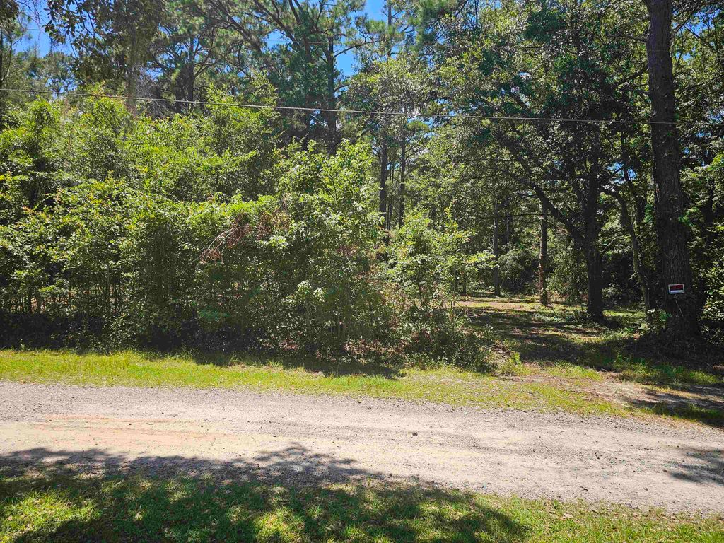 Photo for 0 Carmel Drive, Tallahassee, FL 32309 (MLS # 389373)