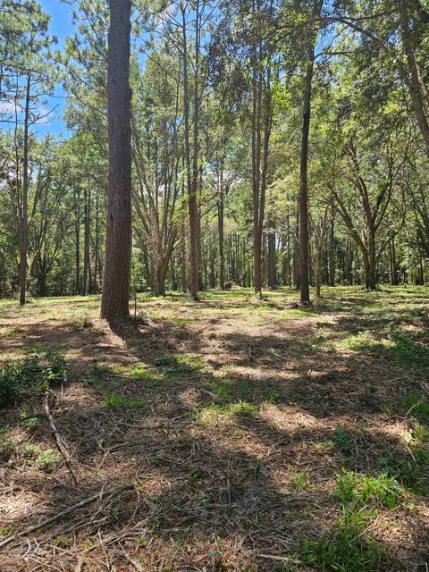Tiny photo for 0 Carmel Drive, Tallahassee, FL 32309 (MLS # 389373)