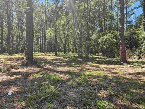 Tiny photo for 0 Carmel Drive, Tallahassee, FL 32309 (MLS # 389373)