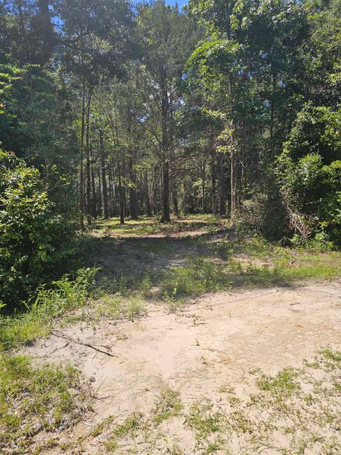 Tiny photo for 0 Carmel Drive, Tallahassee, FL 32309 (MLS # 389373)