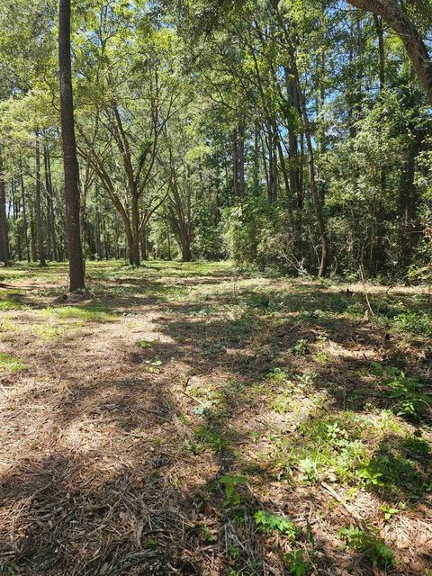 Tiny photo for 0 Carmel Drive, Tallahassee, FL 32309 (MLS # 389373)