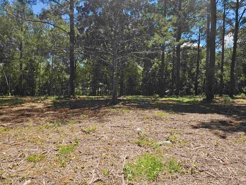 Tiny photo for 0 Carmel Drive, Tallahassee, FL 32309 (MLS # 389373)