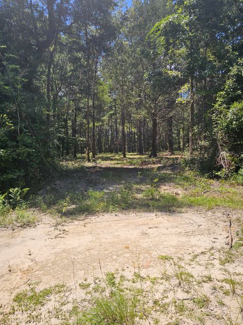 Tiny photo for 0 Carmel Drive, Tallahassee, FL 32309 (MLS # 389373)