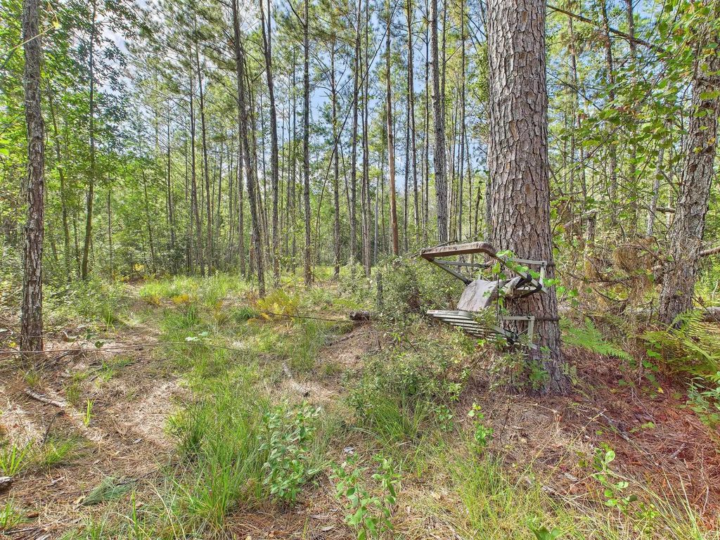 Photo of 618 SW Naples Terrace, Greenville, FL 32331 (MLS # 391744)