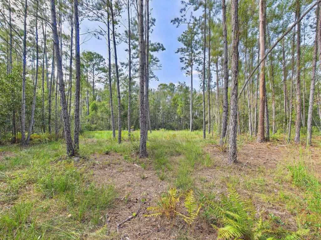 Photo of 618 SW Naples Terrace, Greenville, FL 32331 (MLS # 391744)
