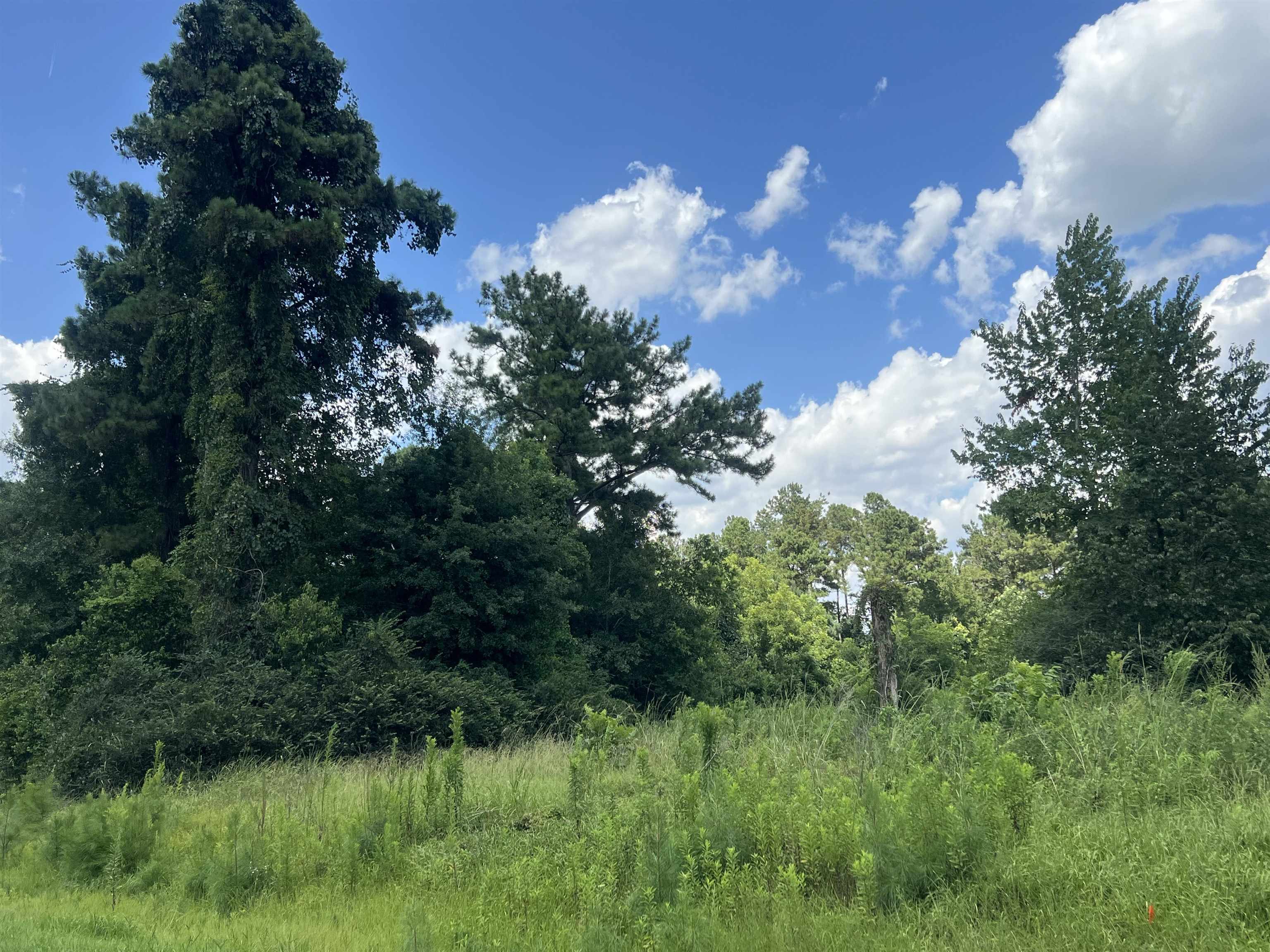 300 Twin Ponds Drive