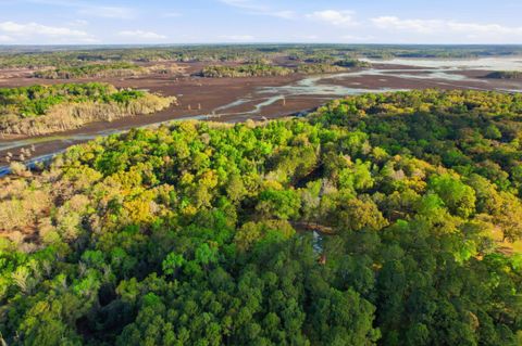 Tiny photo for Xx Moorhen Circle, Tallahassee, FL 32312 (MLS # 397760)