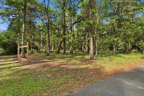 Tiny photo for Xx Moorhen Circle, Tallahassee, FL 32312 (MLS # 397760)