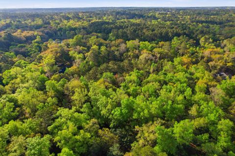 Tiny photo for Xx Moorhen Circle, Tallahassee, FL 32312 (MLS # 397760)