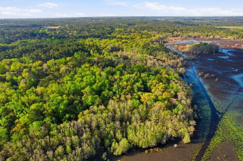 Tiny photo for Xx Moorhen Circle, Tallahassee, FL 32312 (MLS # 397760)