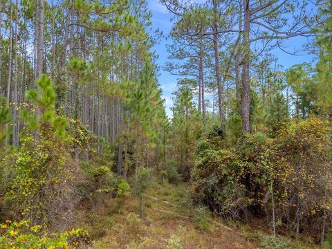 Tiny photo for 5C Bridle Horse Circle, Tallahassee, FL 32305 (MLS # 396799)