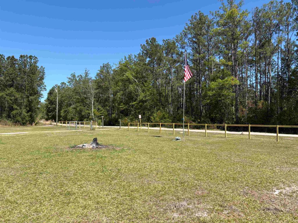 Photo of 237 SW Wabasso Terrace, Greenville, FL 32331 (MLS # 398777)