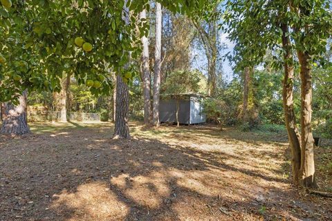 A home in Tallahassee