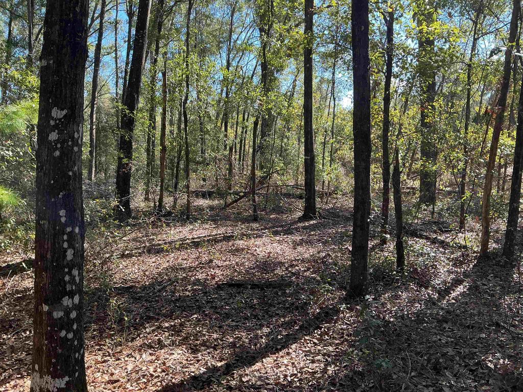 Photo of TBD Smokehouse Farms Drive, Greenville, FL 32331 (MLS # 394469)