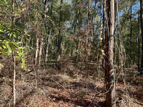 Tiny photo for TBD Smokehouse Farms Drive, Greenville, FL 32331 (MLS # 394469)