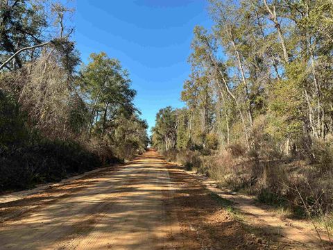 Tiny photo for TBD Smokehouse Farms Drive, Greenville, FL 32331 (MLS # 394469)