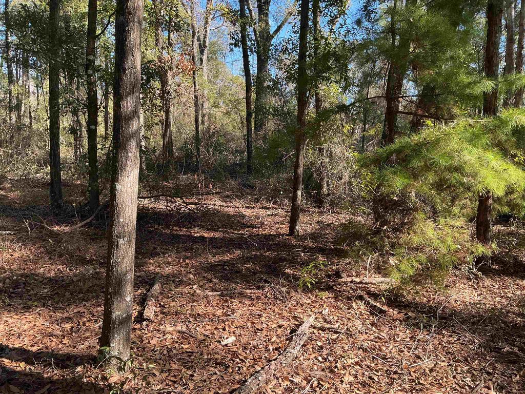 Photo of TBD Smokehouse Farms Drive, Greenville, FL 32331 (MLS # 394469)